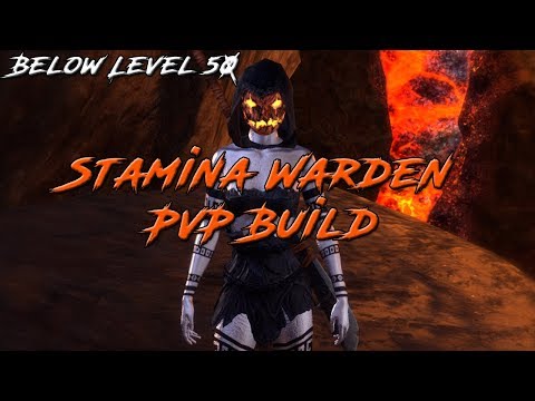 Below Level 50 Stamina Warden Build - Elder Scrolls Online: Dragon Bones