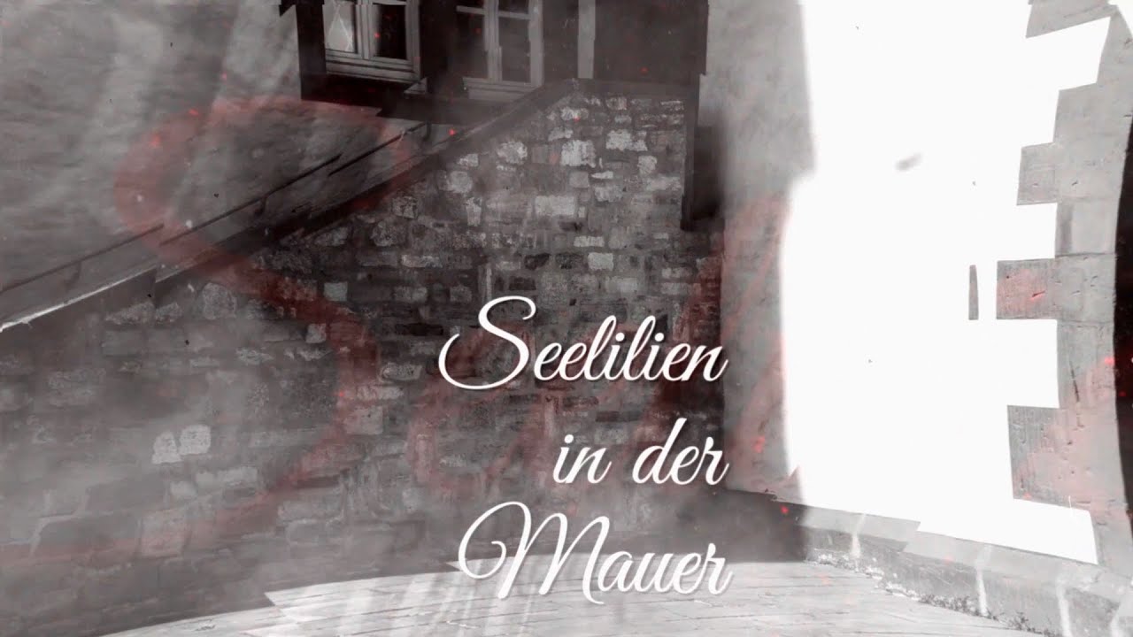 Seelilien in der Mauer im Schloss Salder