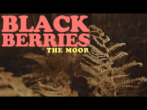 Blackberries - The Moor (Official Video)