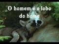 O LOBO PITTY (Vídeo Montagem)