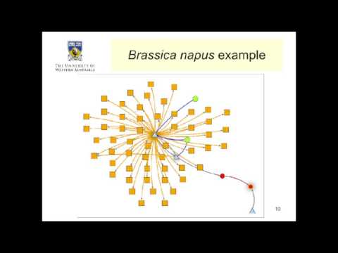 Improving Plant Breeding Using KnetMiner by Philipp Bayer