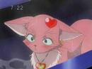 Chocola as a cat! - Sugar Sugar Rune 