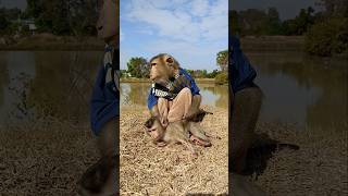 Download lagu Best Video Of SokYaa,Sokhaa, To To And Mom Are Famous & Amazing #shorts mp3