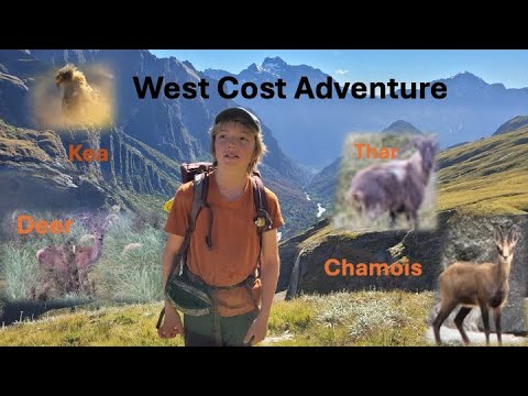 The Douglas, Karangarua Adventure