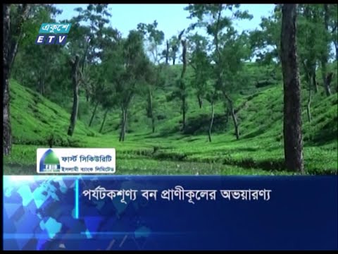 পর্যটকশূন্য বন প্রাণীকূলের অভয়ারণ্য