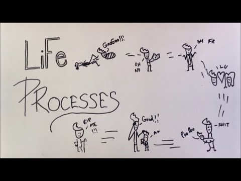 Life Processes - ep01 - BKP | Class 10 biology science ncert cbse boards full explanation in hindi