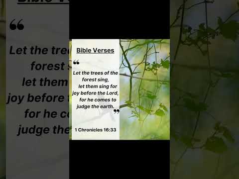 Day 157 The #1 Reason You’re called Blessed Audio Daily Bible Verse #bibleaudio #biblereadingaudio