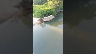 Download lagu #music https://youtu.be/xi8vyZstRKE?si=GTXBxXrBUKwIB3R9 April 3, 08:03 5°18'43.2'N, 102°18'42.8'E mp3