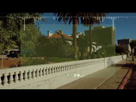 “Who’s Illegal?” by Little King