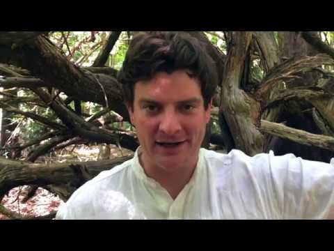 The Winterling by Jez Butterworth