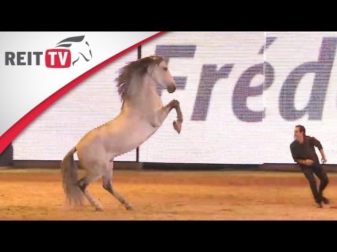 EQUITANA 2013 | Das erwartet euch!