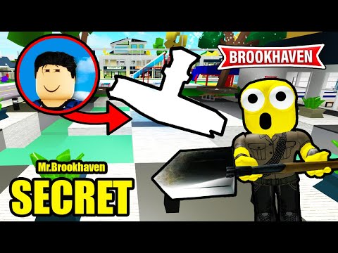 BROOKHAVEN'S NEW SECRET IS INCREDIBLE! BROOKHAVEN RP