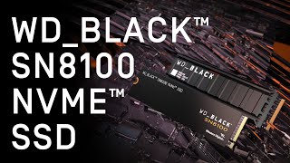 Western Digital WD BLACK SN8100 M.2 NVMe (8TB)_동영상_이미지
