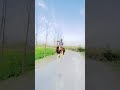 Horse Riding Short Video Horse Lover Status Horse Videos Horse Video Horse Riding Short