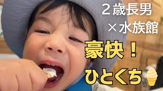 【育児Vlog】2歳長男と水族館🐠｜“アイス半分こ”で感じた成長とパパの本音