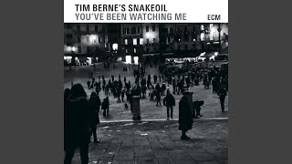 Small World In A Small Town