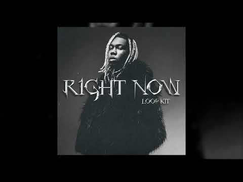 Destroy Lonely Loop Kit - Right Now (Dom Corleo, Ambient, Hardrock, Opium, Yeat Loop Kit 2023)