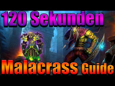 Malacrass in 120 Sekunden - Zul'Aman - Boss Guide (Deutsch)