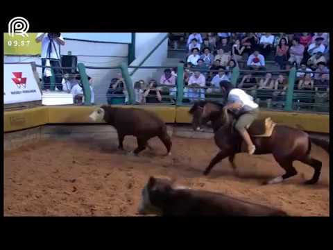 Bocal de Ouro Esteio (RS) – 6° lugar machos – Guanabara Nunca Más