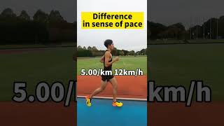 Download lagu Difference in speed between 1km 5 min pace and 1km 2 min 20 seconds!! #tamujo #marathon mp3 Download lagu Difference in speed between 1km 5 min pace and 1km 2 min 20 seconds!! #tamujo #marathon mp3