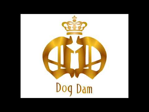 Mc Dog Dam -jeito diferente