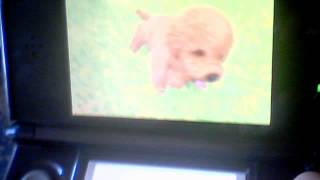 Restarted nintendogs+cats getting a new dog