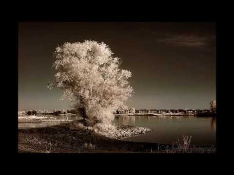 Infrarot Fotografie - Infrared Photography