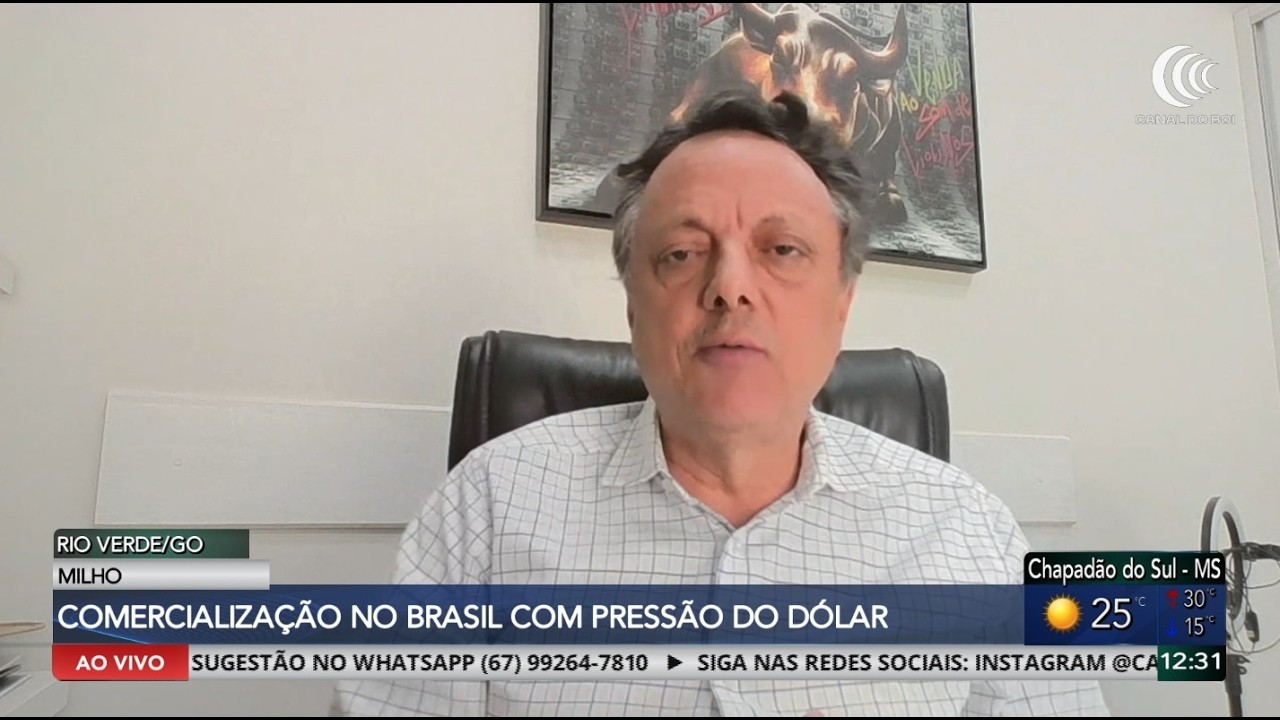 Dólar, eleições e oferta de grãos movimentam mercado de soja e milho