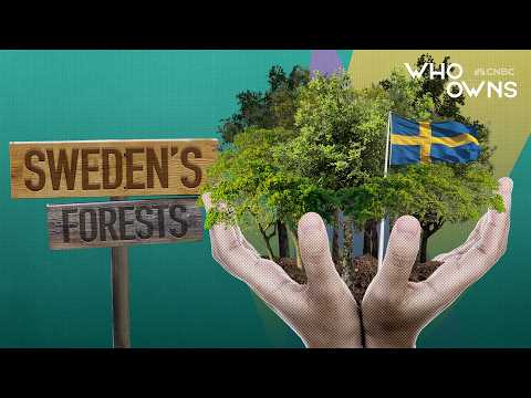 誰擁有瑞典的森林？ (Who Owns Sweden's Forests?)