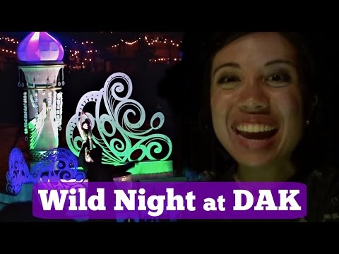Wild Night at Animal Kingdom | Return to Disney World Video