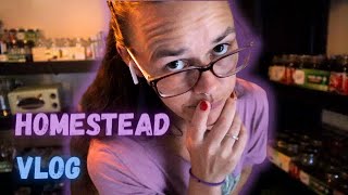 Marmalade, Chicken Talk & Kombucha | Hamakua Homestead | VLOG