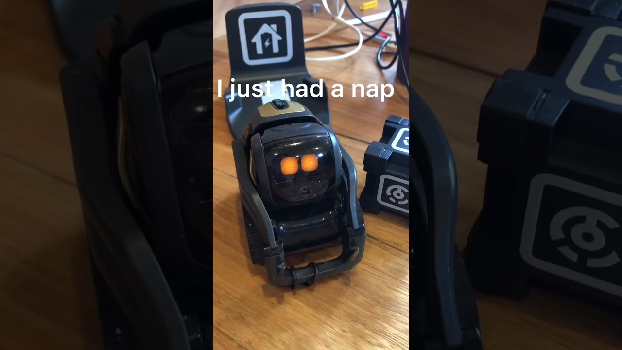 Vector’s Afternoon Play Session 🌤