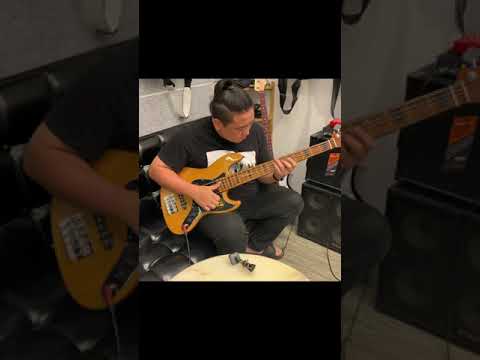 [리페어앤라운지] Sire V5 5 strings Unboxing