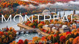 Montreal Fall Vibes 4K | Cinematic Drone Footage of Autumn Leaves