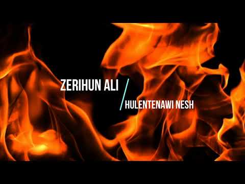 Track 07  Zerihun Ali  - Hulentenawi nesh