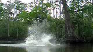 preview picture of video 'Christian jumping from the Cypress Tree - Amite River'