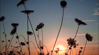 Mia Doi Todd- Spring