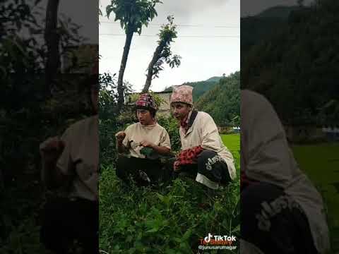 Best funny Nepali Tiktok videos