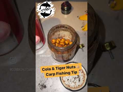Quick Fishing Tip | Cola x Tigernuts |🔥 #carpfishing #bait