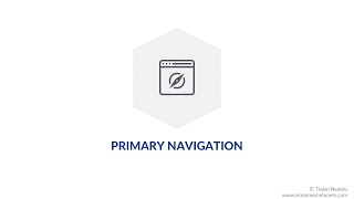 Home Pages: Primary Navigation - 10-hour ecommerce SEO course