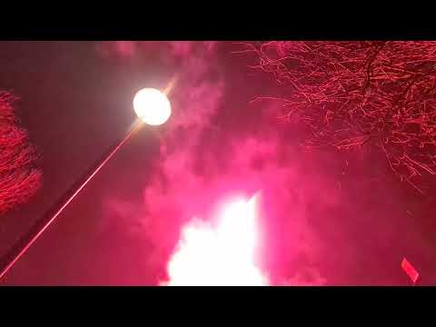 Surex Revolution Mixed shape display box 230shots