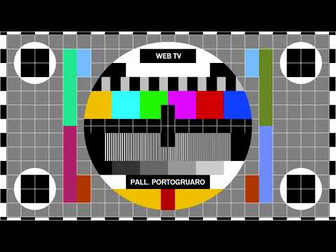 MONOSCOPIO PALL  PORTOGRUARO