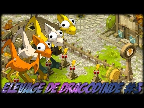 comment monter dragodinde