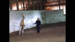 Luna back ground Bad Moon with Ann Wilson for email.wmv