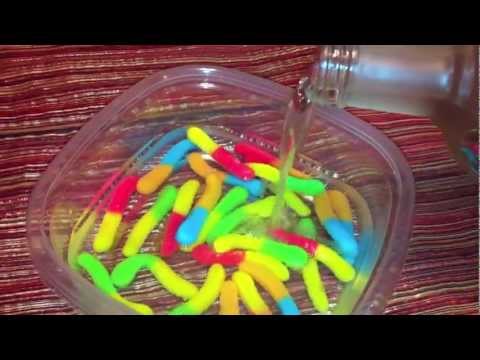 download lagu mp3 mp4 Grapefruit Vodka Jello Shots, download lagu Grapefruit Vodka Jello Shots gratis, unduh video klip Grapefruit Vodka Jello Shots