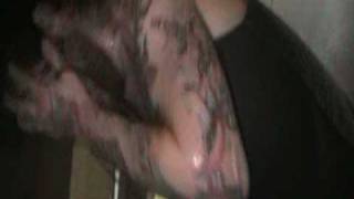 Sky Eats Airplanes- Photographic Memory Live