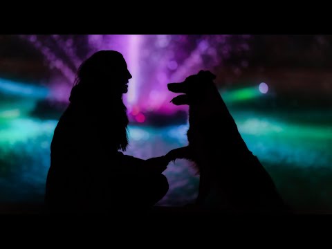 Saying goodbye to you...