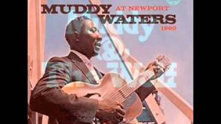 Coleção 70 anos de música. Anos 60 /  Muddy Waters Goodbye. newport  blues.