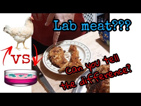 Chicken Lab Meat?? How you can tell the difference! *taste test included!