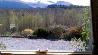 preview picture of video 'The Braes, Spean Bridge : Reception, Lounge, Diner.mp4'